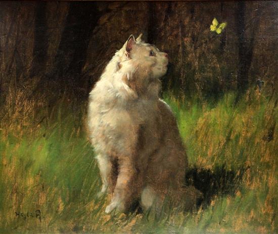 Artur Heyer (1872-1931) White cat watching a butterfly 21 x 25.5in.